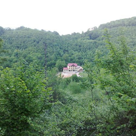 Pensiunea Dolvas Padis Buitenkant foto