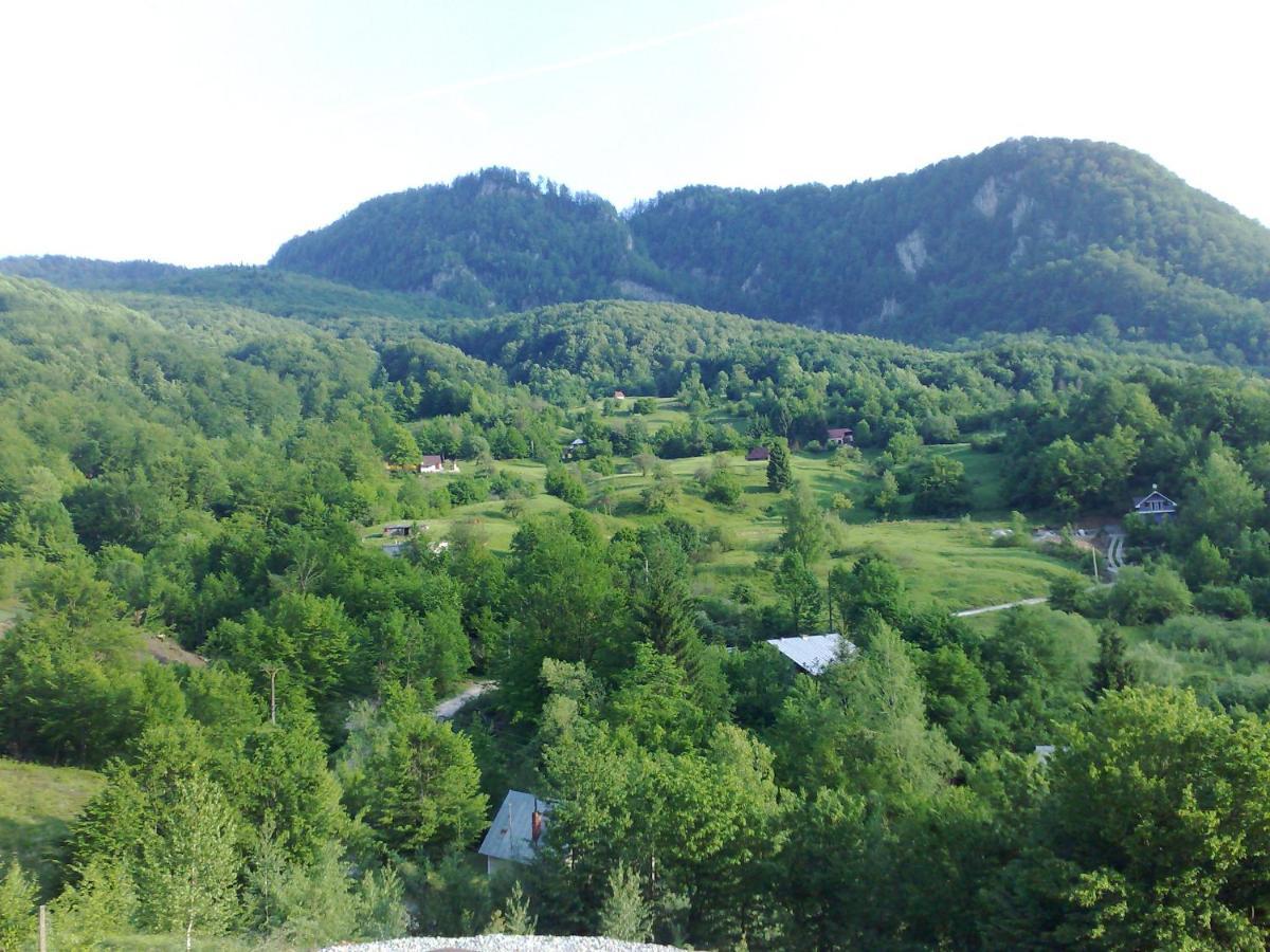 Pensiunea Dolvas Padis Buitenkant foto