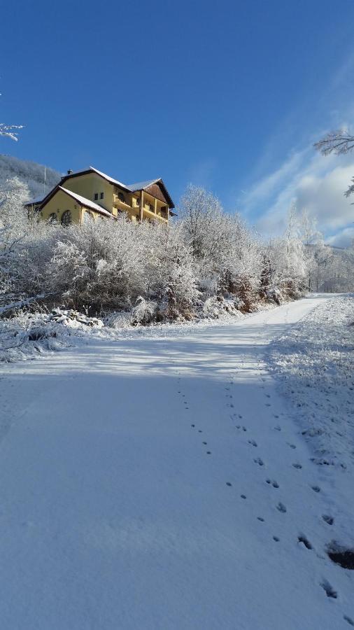 Pensiunea Dolvas Padis Buitenkant foto