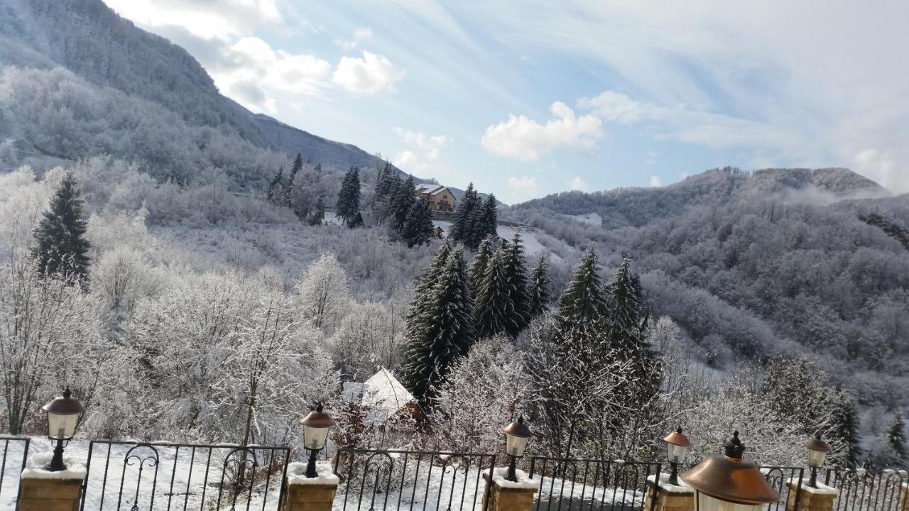 Pensiunea Dolvas Padis Buitenkant foto