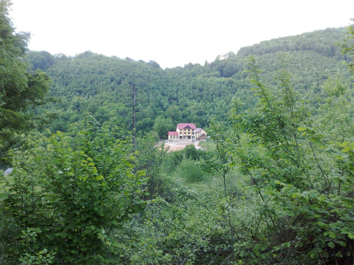 Pensiunea Dolvas Padis Buitenkant foto