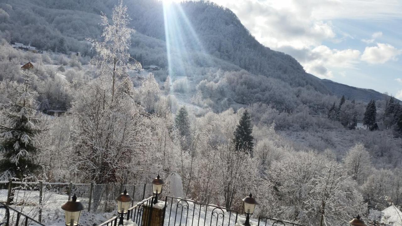 Pensiunea Dolvas Padis Buitenkant foto