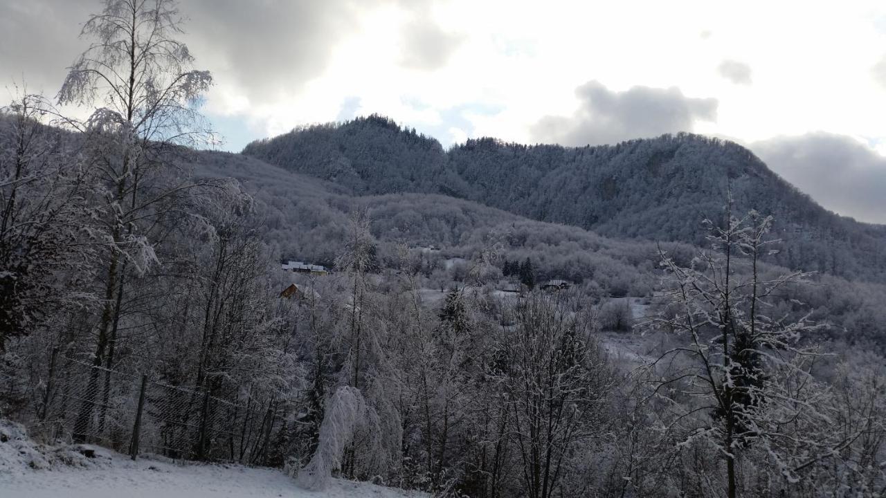 Pensiunea Dolvas Padis Buitenkant foto